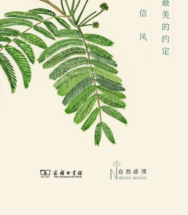 1782094098834517.jpg